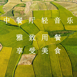 中国黄色免费视頻
